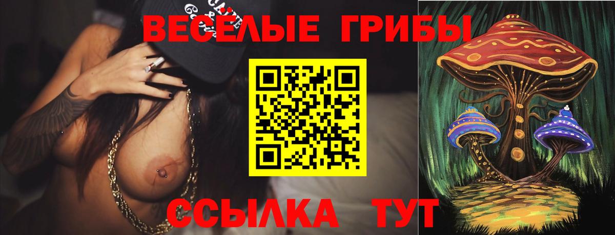 Псилоцибиновые грибы GOLDEN TEACHER Верхний Уфалей